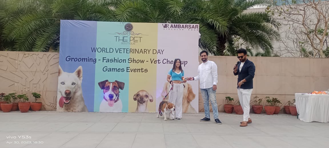 World Veterinary Day
